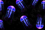 Jellyfish invasion causes shutdown of UK nuclear power plant