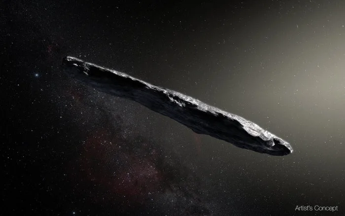 interstellar asteroid