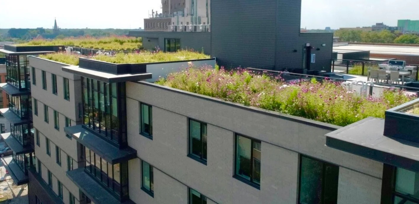 Photo: Oak Park, IL by Northworks www.greenroofs.org