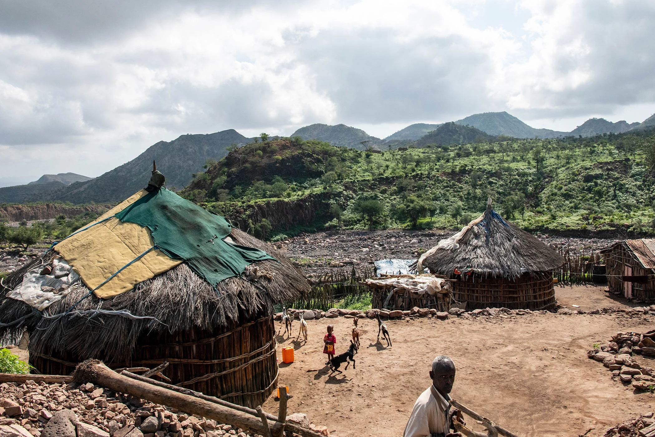 Traditional huts in the village of Bankouale, Djibouti in Africa.  Credit: Alexander Bee/ iStock Editorial/ Getty Images Plus