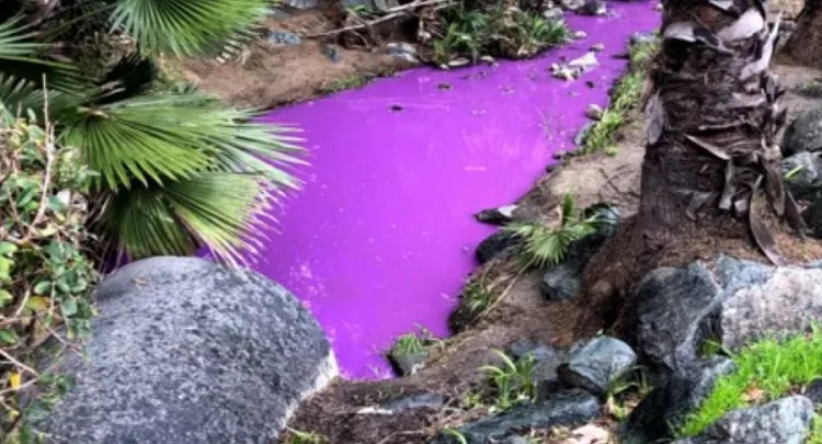 California residents shocked as creek turns bright purple
