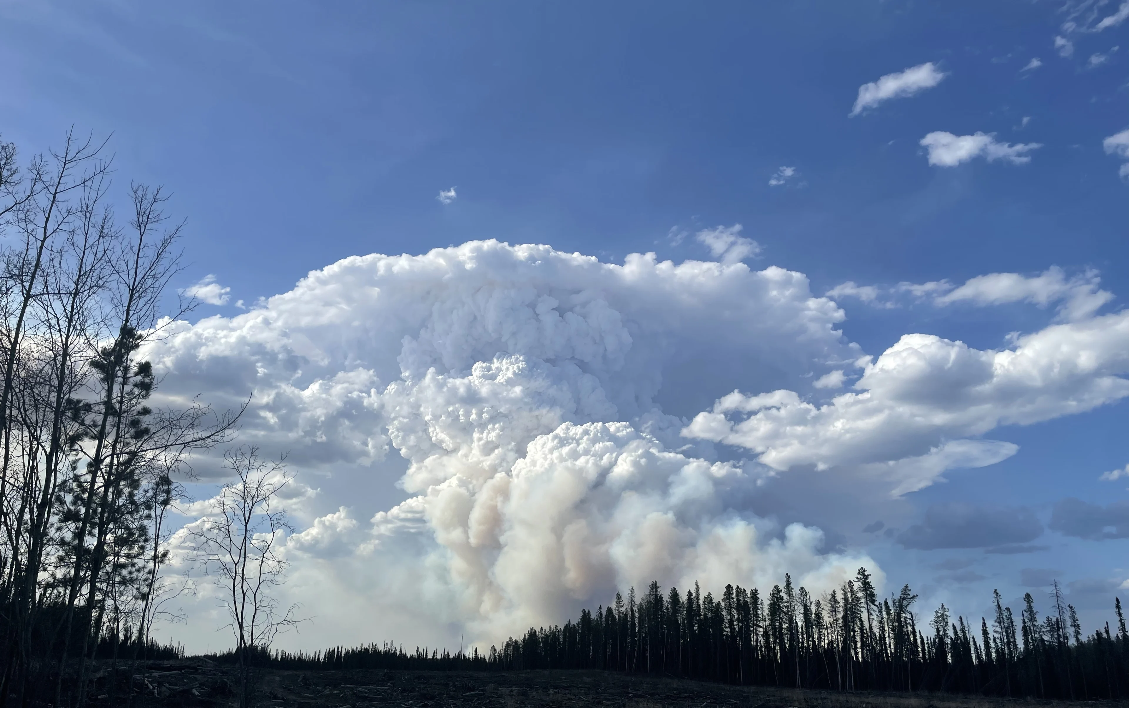  Out-of-control wildfires 'unprecedented crisis', says Alberta premier