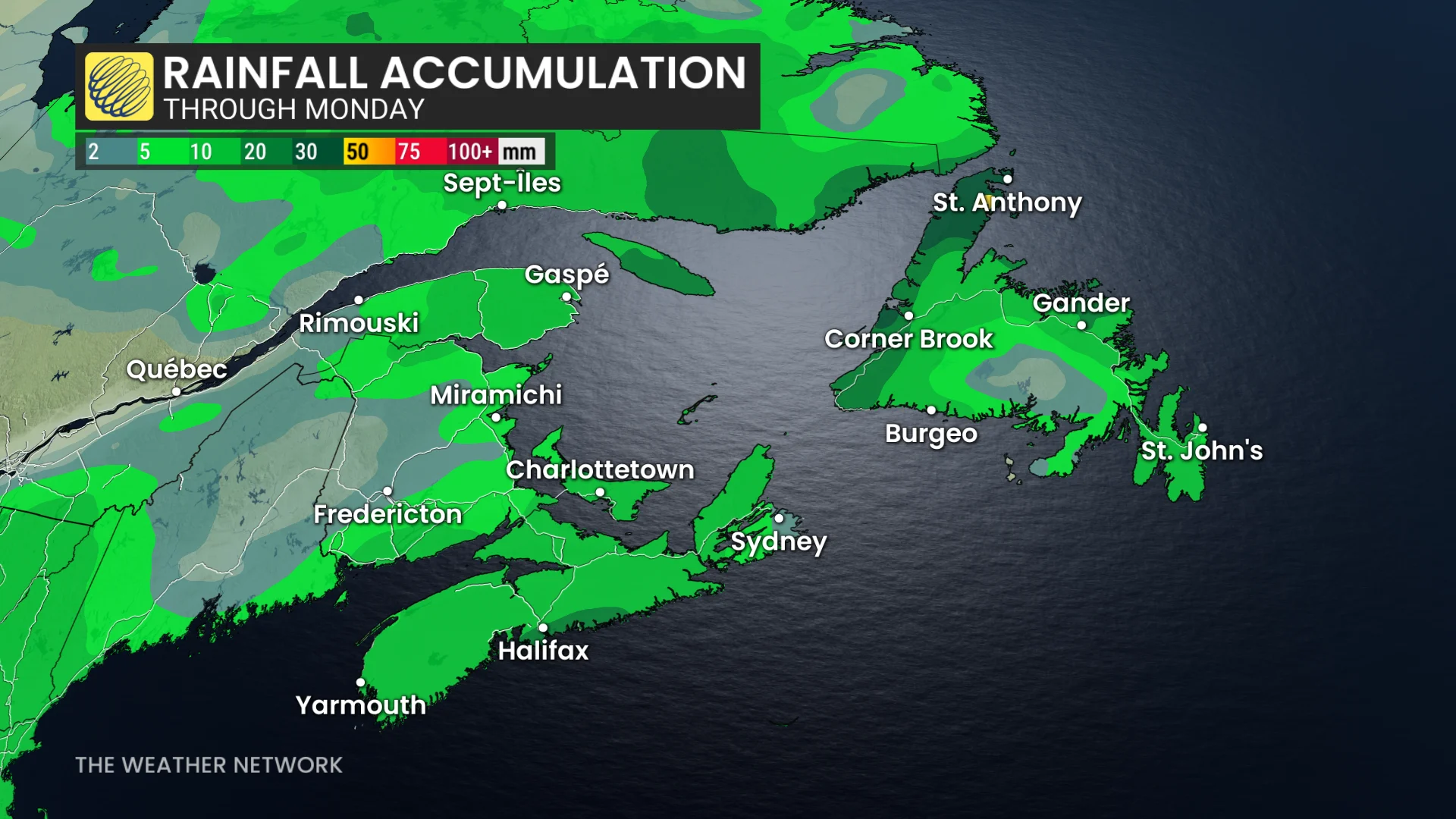 Newfoundland rainfall through Monday