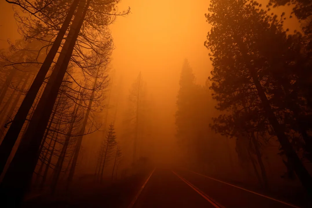 Greenville - California fire Aug 7 2021 - Fred Greaves - Reuters
