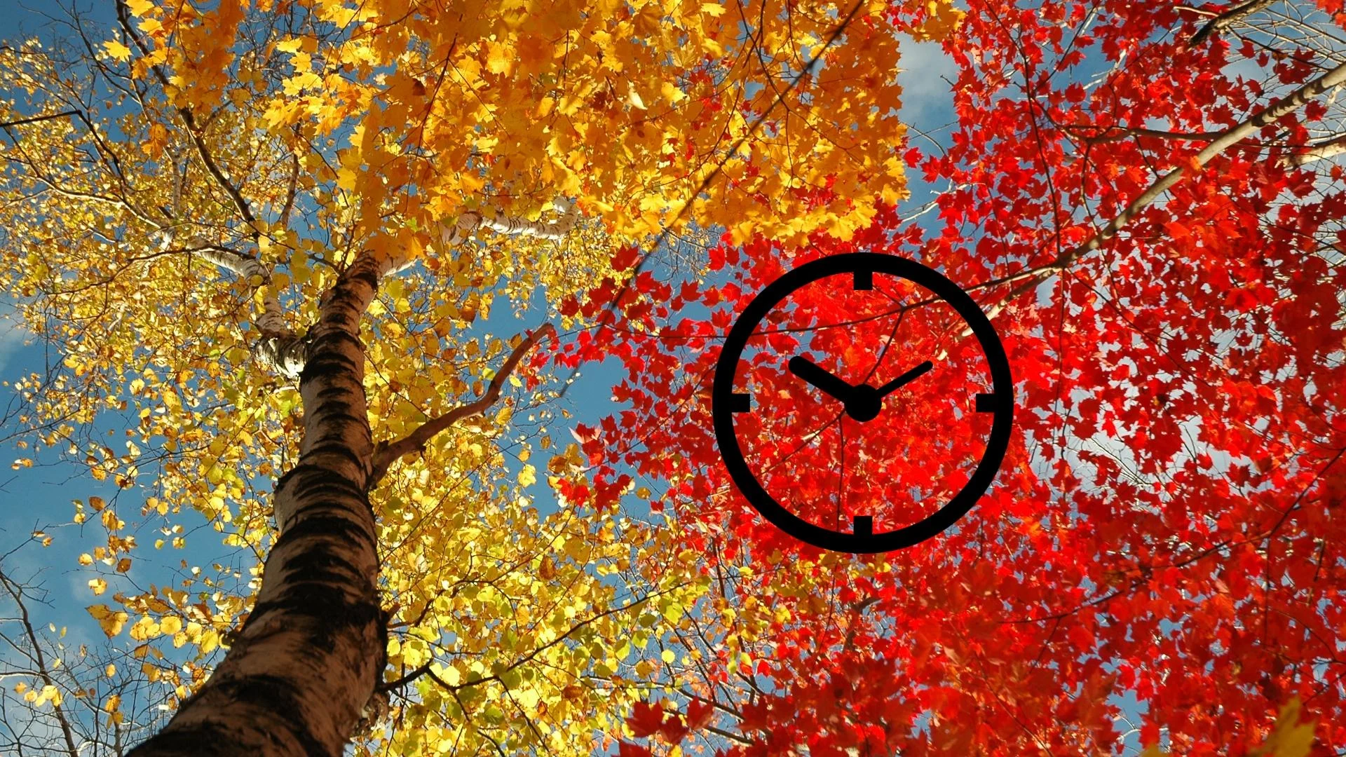 Couleurs d'automne : une année différente