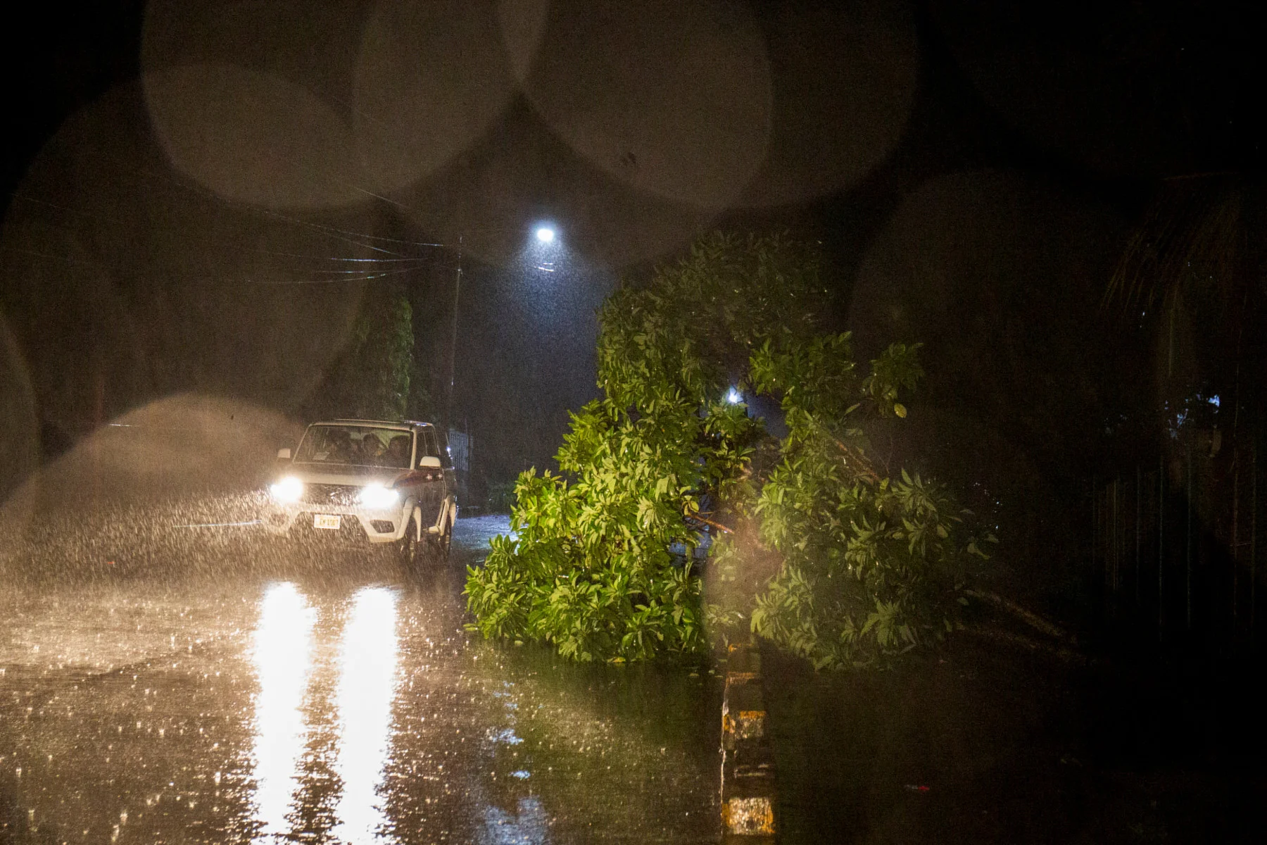 People in a vehicle drive past a fallen tree after Hurricane Julia hits the coasts with wind and rain, in Bluefields, Nicaragua October 8, 2022. (REUTERS/Maynor Valenzuela)