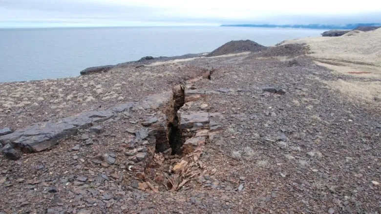 henry-crane-top-down-bell-island-collapase