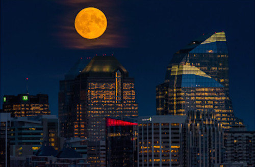 The Weather Network - Three cool Full Wolf Moon facts for Thursday night skywatchers - Vimarsana News