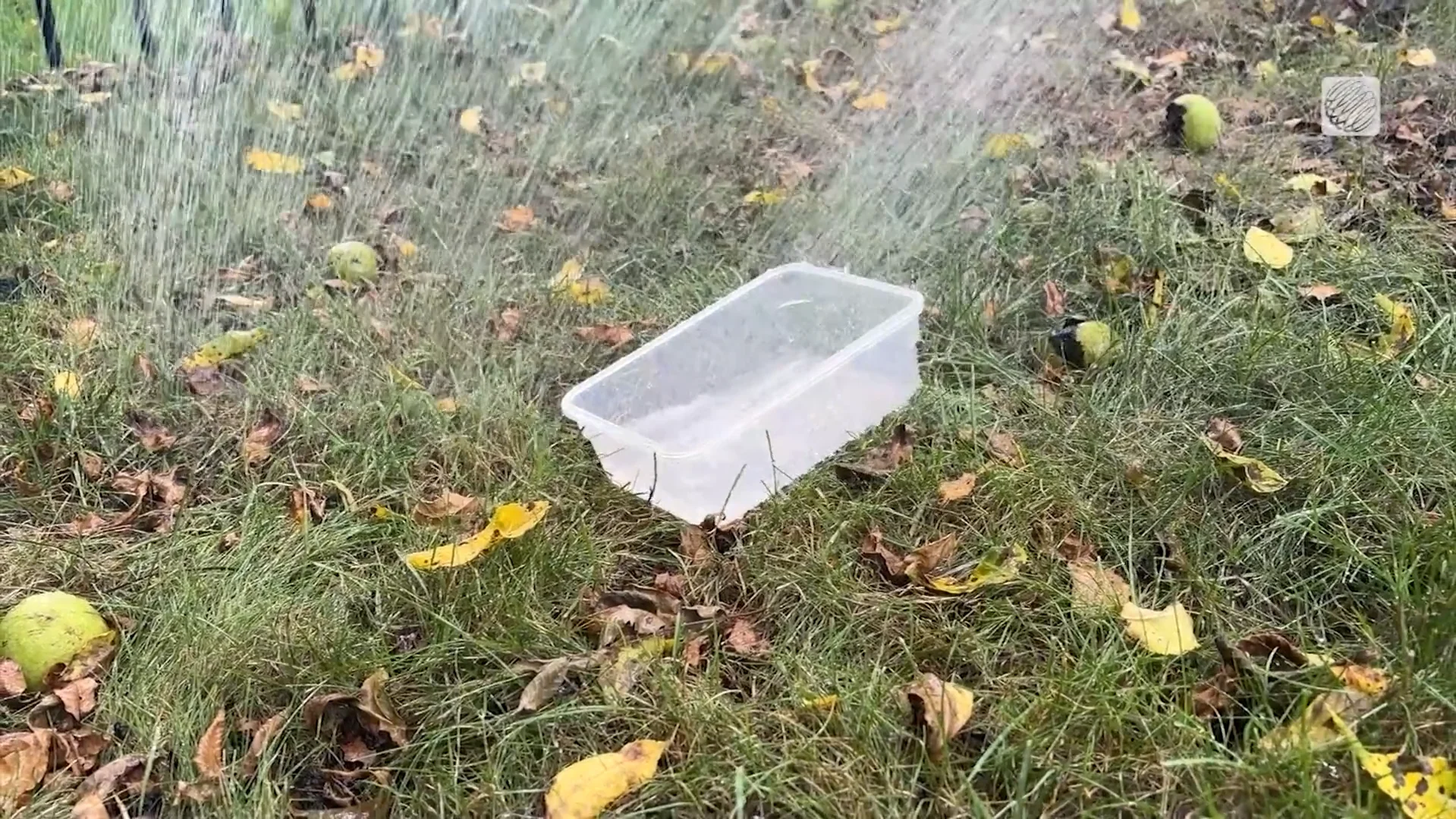 In-house Tupperware used to measure water used to prepare lawn for winter