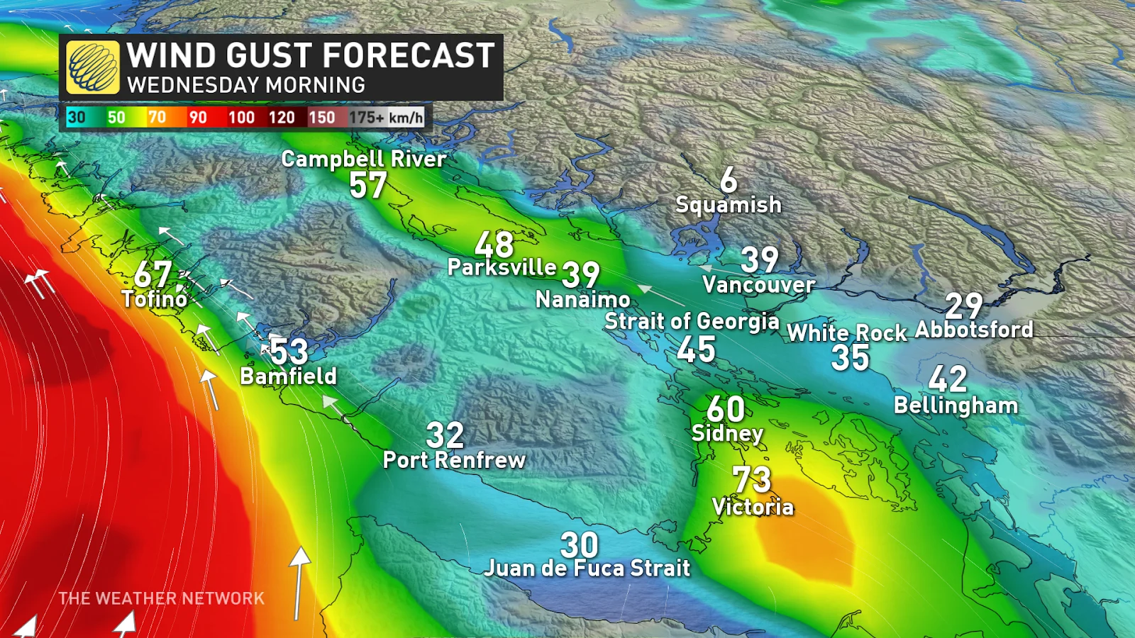 B.C. South Coast wind gust forecast Wednesday morning - Feb. 18, 2025