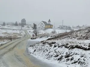 Brief, but intense winter weather wallops Newfoundland Thursday