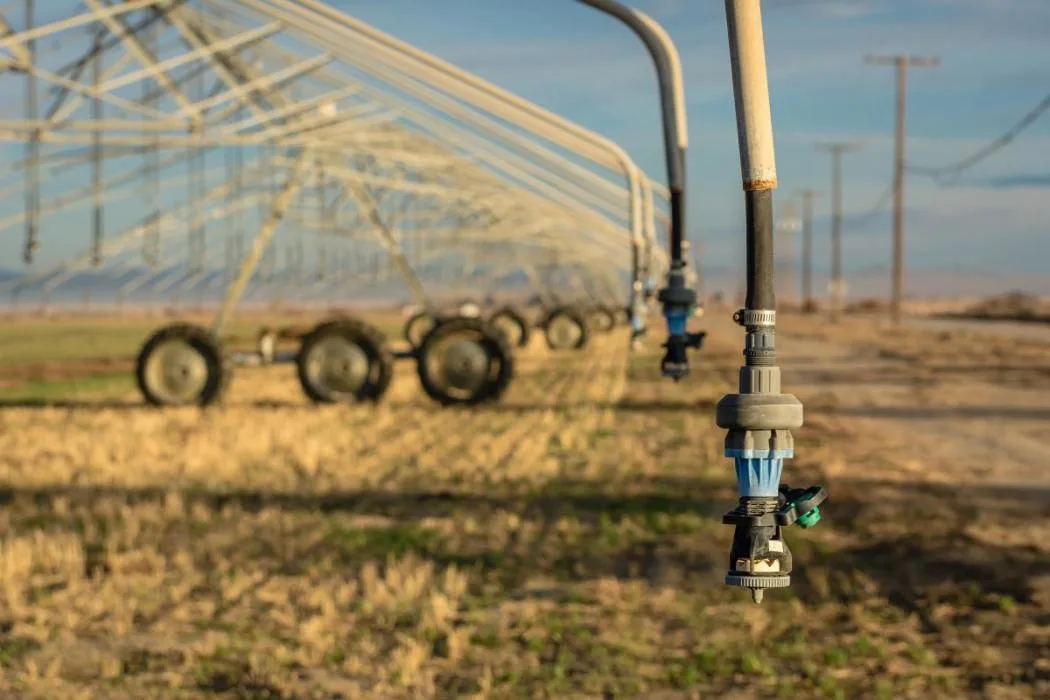 Manque d’eau : les étés secs malmènent les agriculteurs