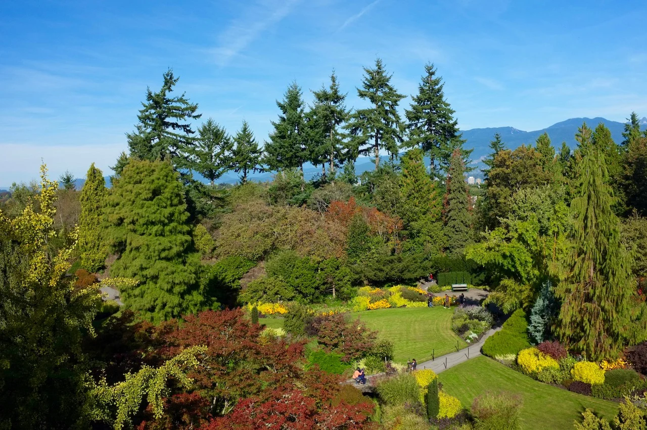 Green spaces often neglect this key demographic: UBC study