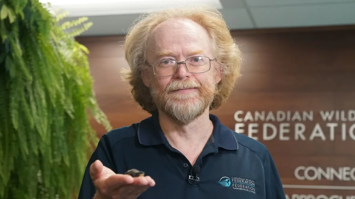 david-seburn-freshwater-turtle-specialist-canadian-wildlife-federation/Matthew Kupfer/CBC