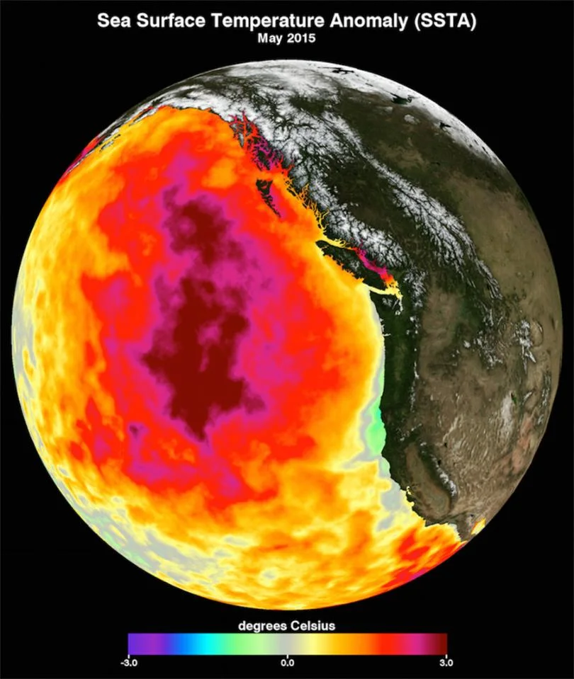 Map 1 blob+Pacific+Ocean+NASA