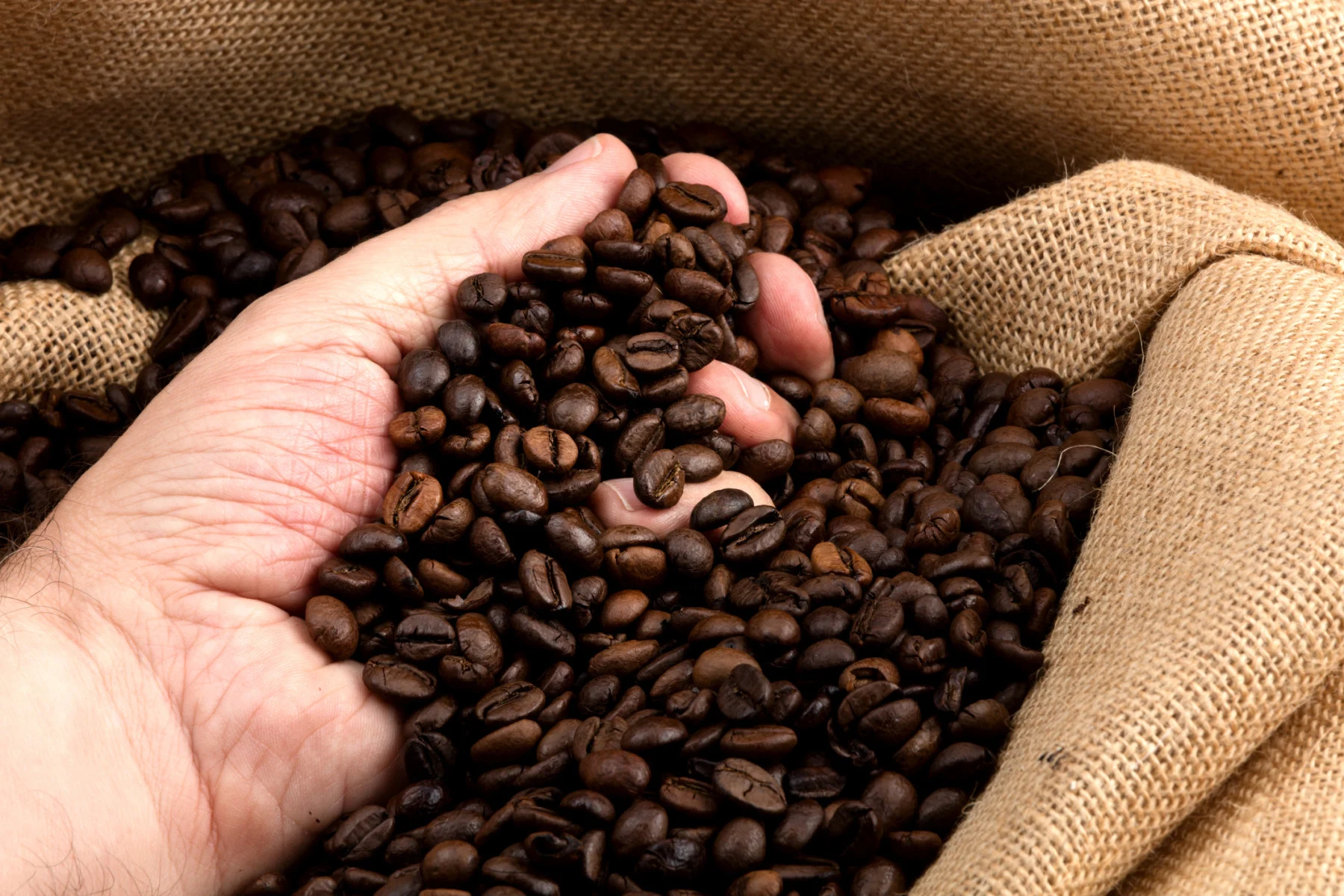 Voici comment votre tasse de café contribue aux changements climatiques