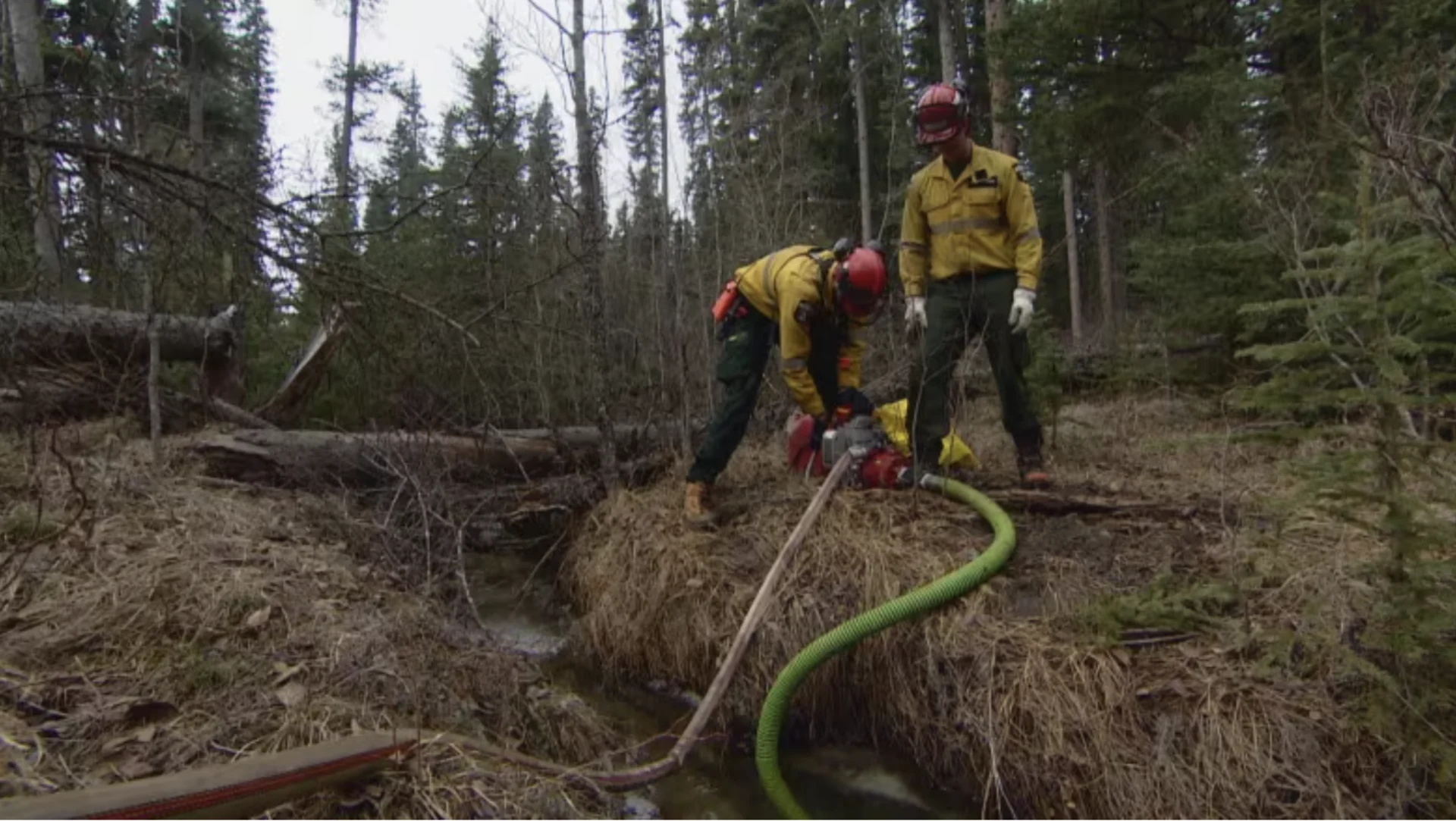 CBC: Wildfire recruits complete a training exercise in Hinton, Alta. Dry conditions throughout the province are raising concern this summer's wildfires could rival last year's. (Peter Evans/CBC)