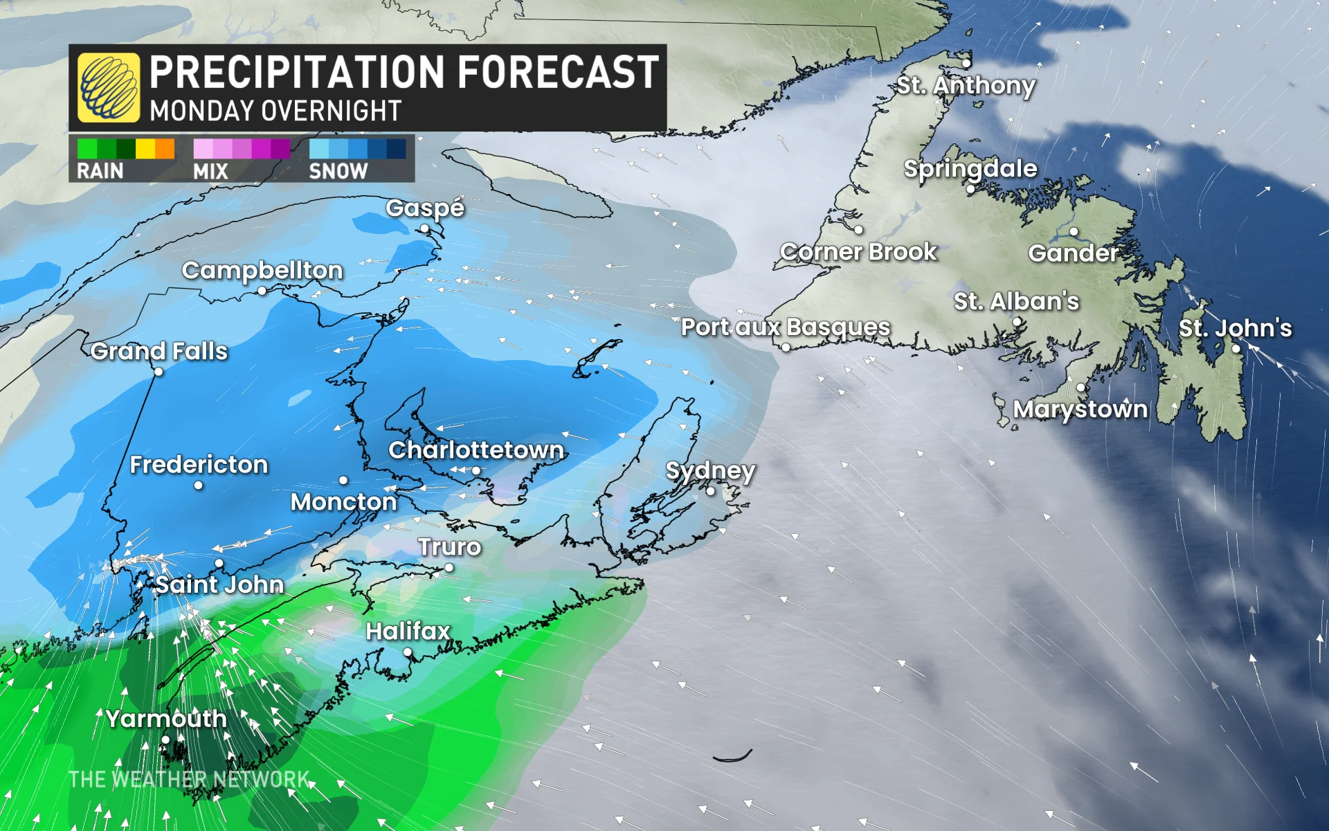 Baron - Atlantic Canada precipitation Monday overnight - Mar24