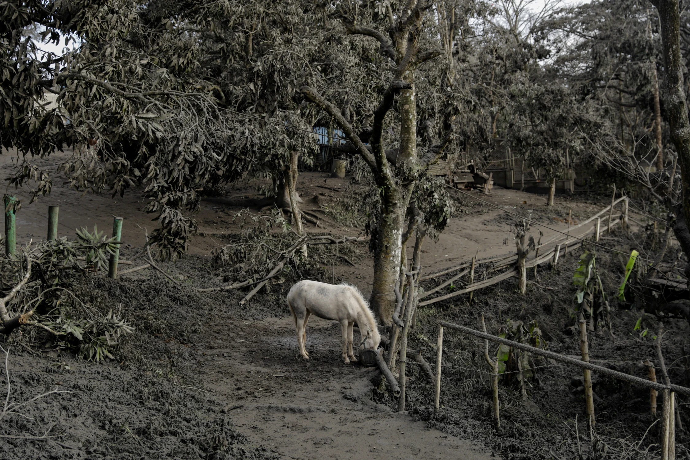 Reuters PHILIPPINES-VOLCANO-TAAL