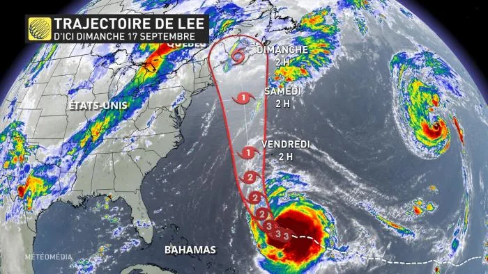 LEE 3
