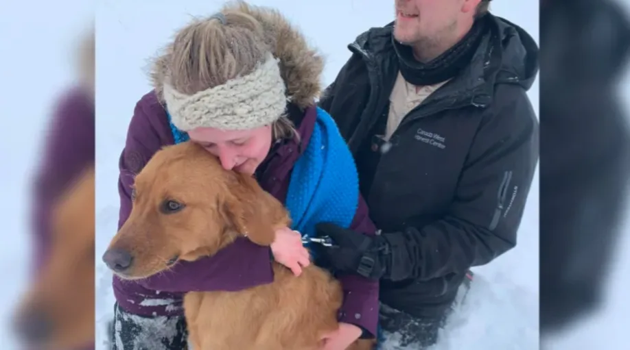 Louie the dog is safe after missing for 3 days during a snow storm in Saskatoon