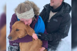 Louie the dog is safe after missing for 3 days during a snow storm in Saskatoon