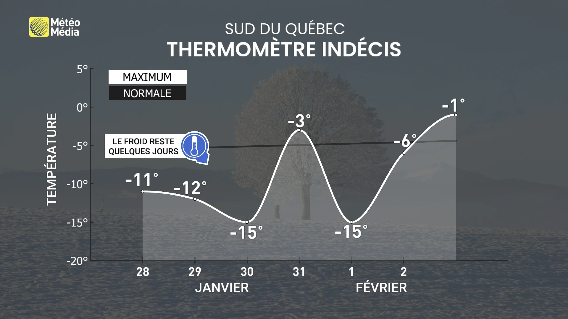 FROID4 (2)