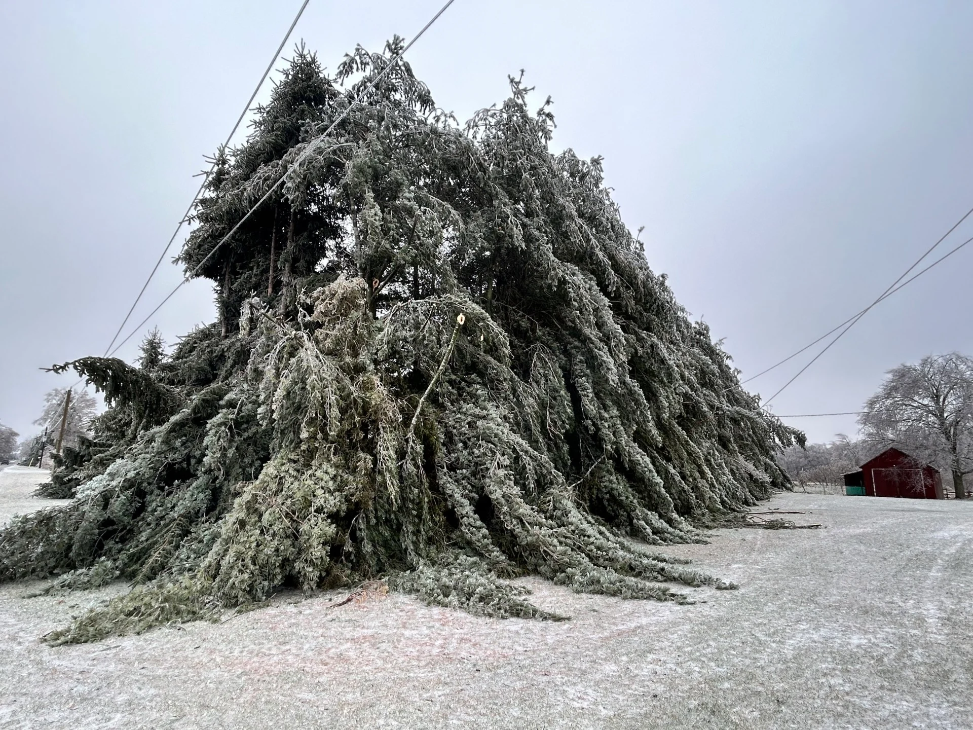 Icy storm pelts Ontario, causing travel disruptions and multiple power outages