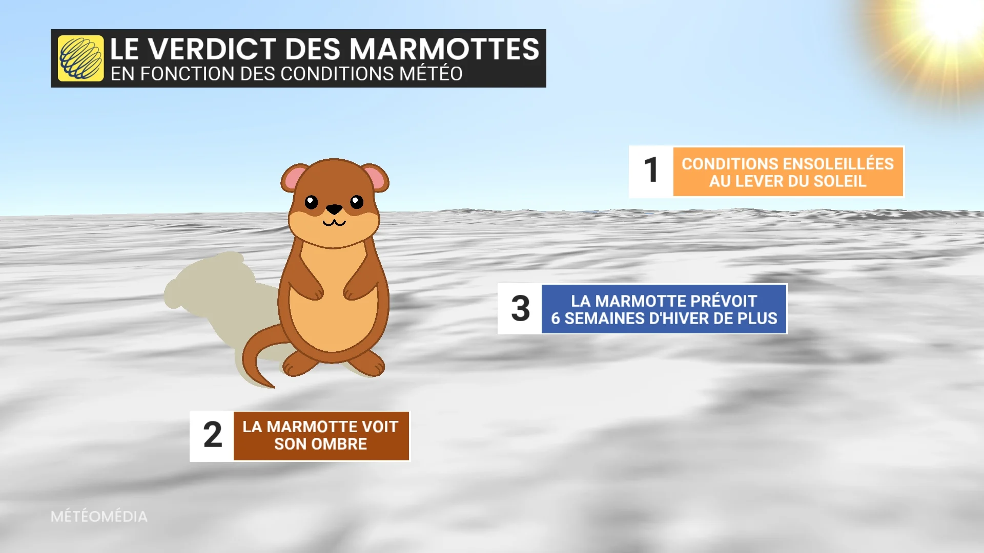 MARMOTTE3