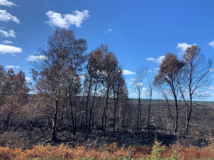 Paradise Lake forest fire a 'sleeping giant' as hot spots continue to burn