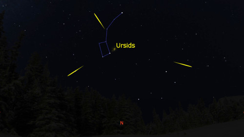 Meteors and peak-a-boo Venus: the night sky in November - UK Space