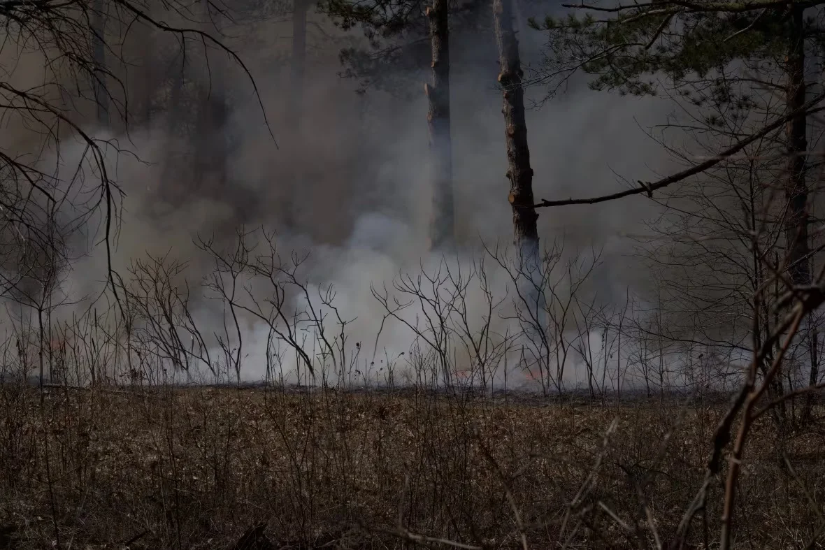 smoke-at-high-park/Hayley Reid-Ginis/CBC