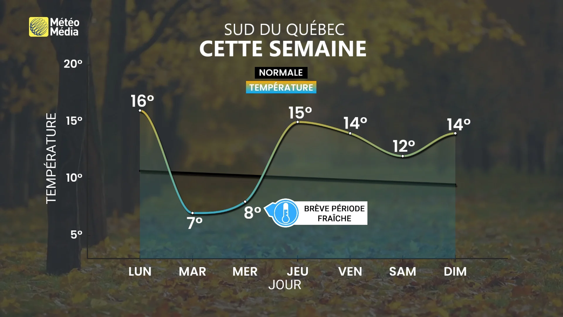 SEMAINE2