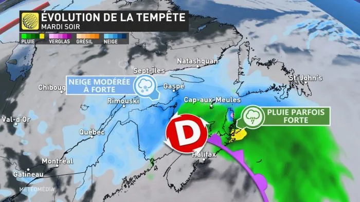 TEMPETE1 (14)