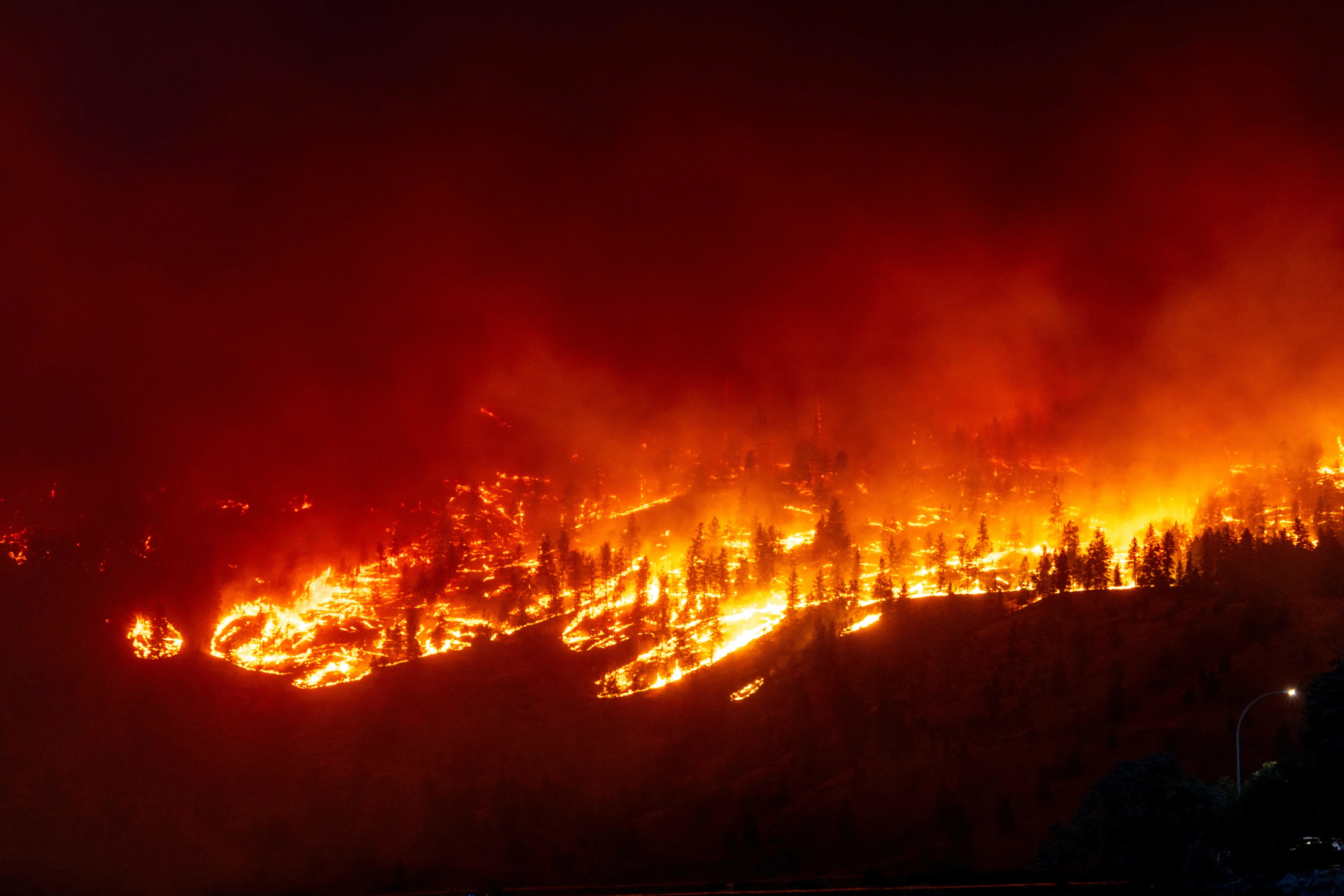 Reasons for wildfires complex but scientists say climate change plays key role