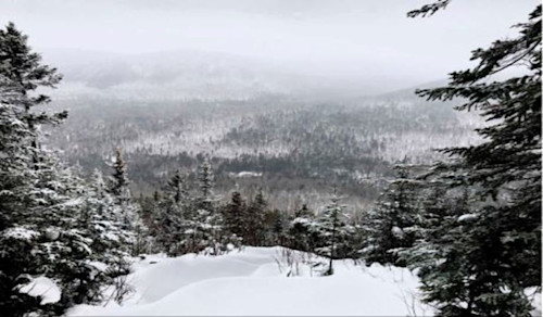 The Weather Network Neige qui sont les grands gagnants au Québec