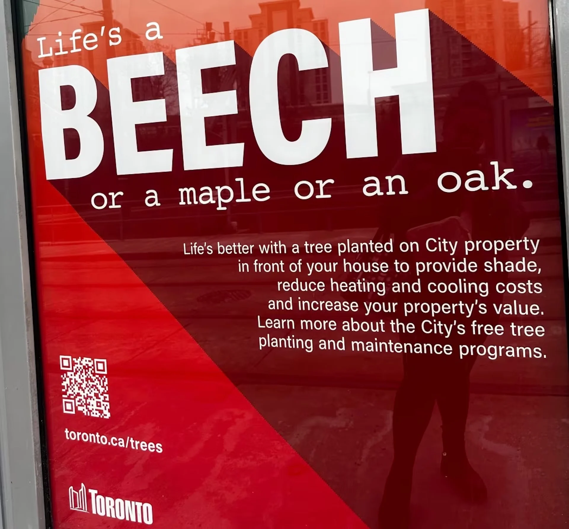 City tree-planting-poster campaign/Julia Alevato/CBC