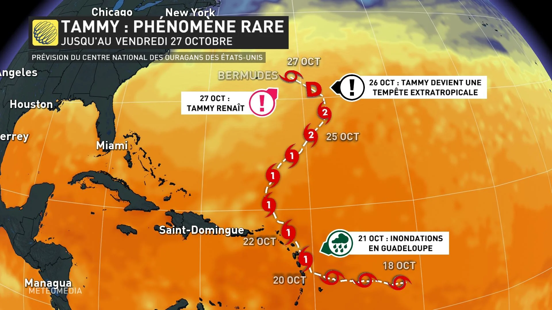 TAMMY2 PHÉNOMÈNE