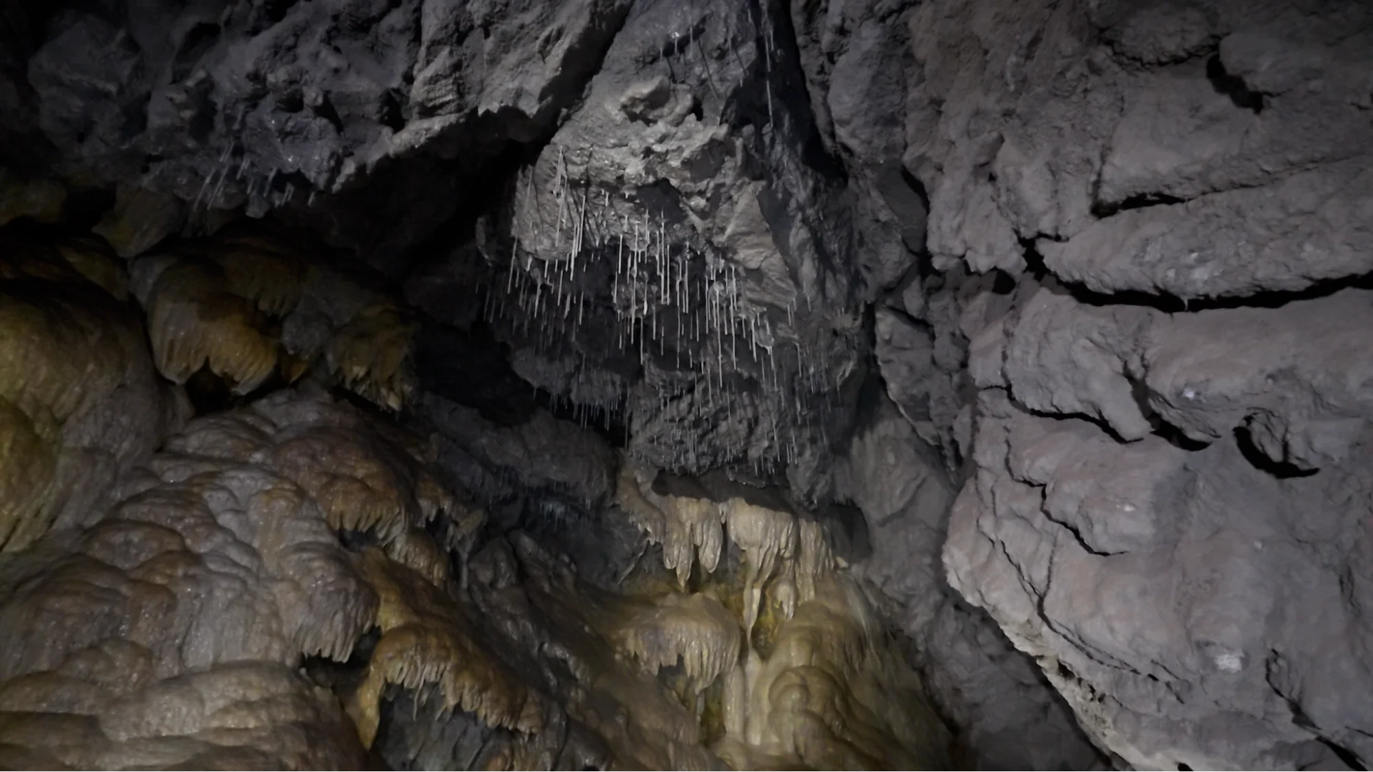 (Connor O’Donovan) Rat's Nest Cave Alberta