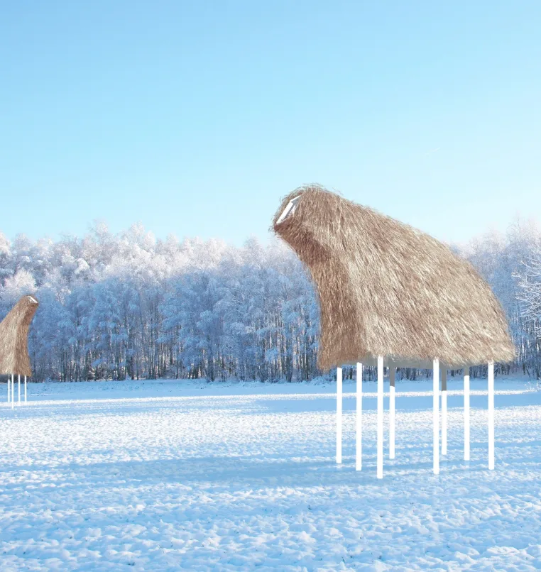 Warming huts 2 - Drombox