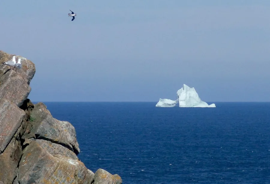 PHOTOS: Iceberg season in Newfoundland has begun