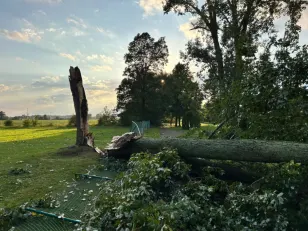 Tornado hits Niagara Falls Monday, damage shows downed trees, missing shingles