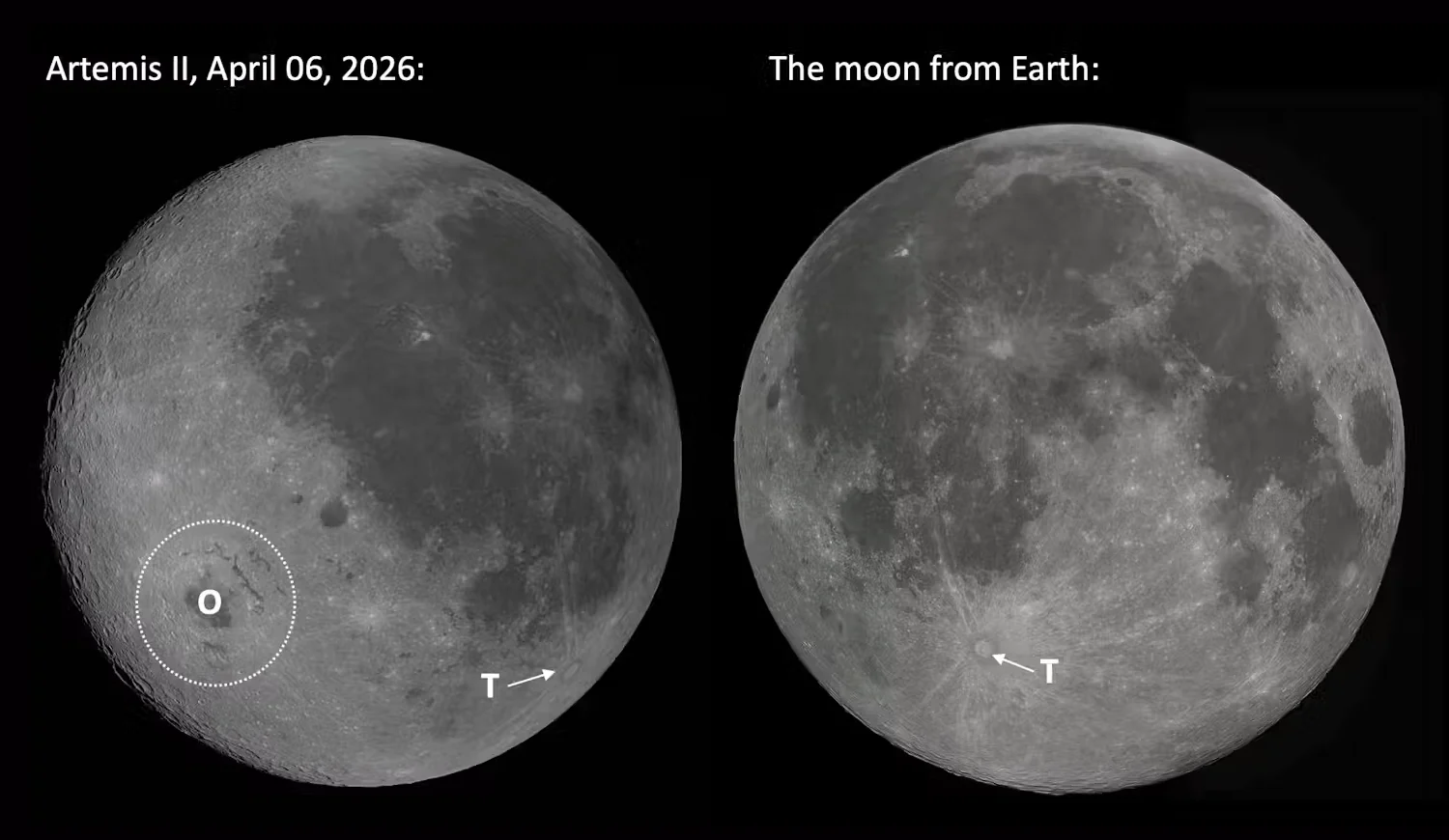 NASA: The moon, viewed from Earth and by Artemis II crew. T marks the Tycho crater; O marks the Orientale crater. (G. R. Osinski using NASA images)