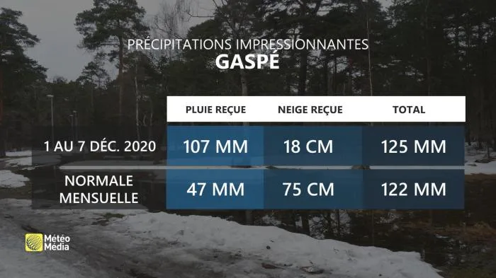 PLUIE GASPÉ