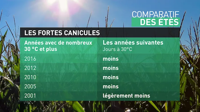 Comparatif des étés 3