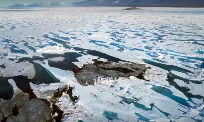 Greenland's shifting pack ice reveals 'world's northernmost island'