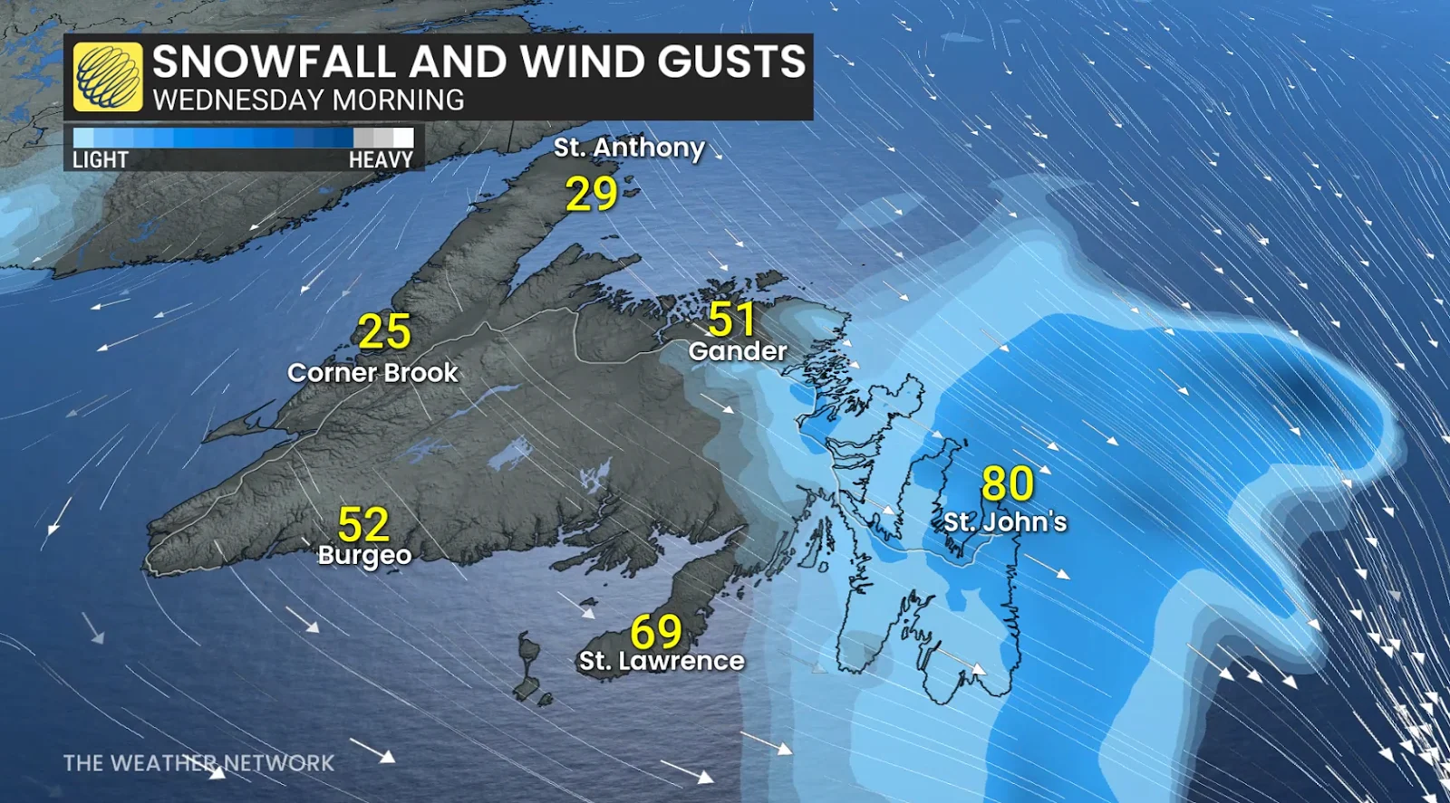 Newfoundland winter storm forecast Wednesday morning wind gusts - Feb 16 2026