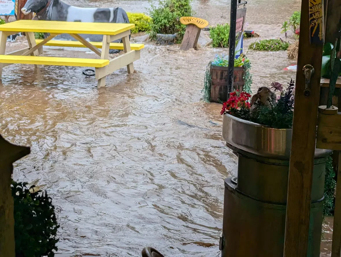 CBC: Water pooled around the outdoor seating area at Frank and Dora's Takeout in Cornwallis, N.S., on Thursday, July 11, 2024. (Denise Pothier)