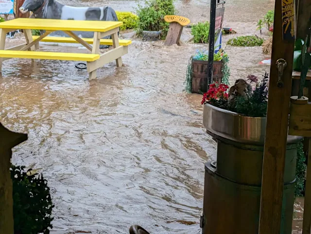Parts of Nova Scotia ravaged by heavy rains and flash flooding — again ...