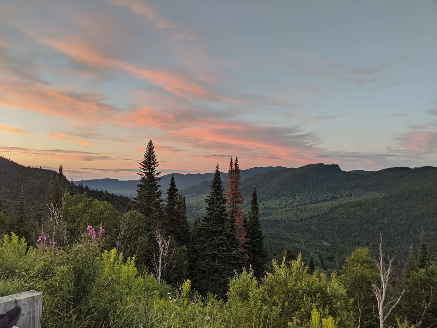 Saguenay-Lac-Saint-Jan Catherine Bergeron